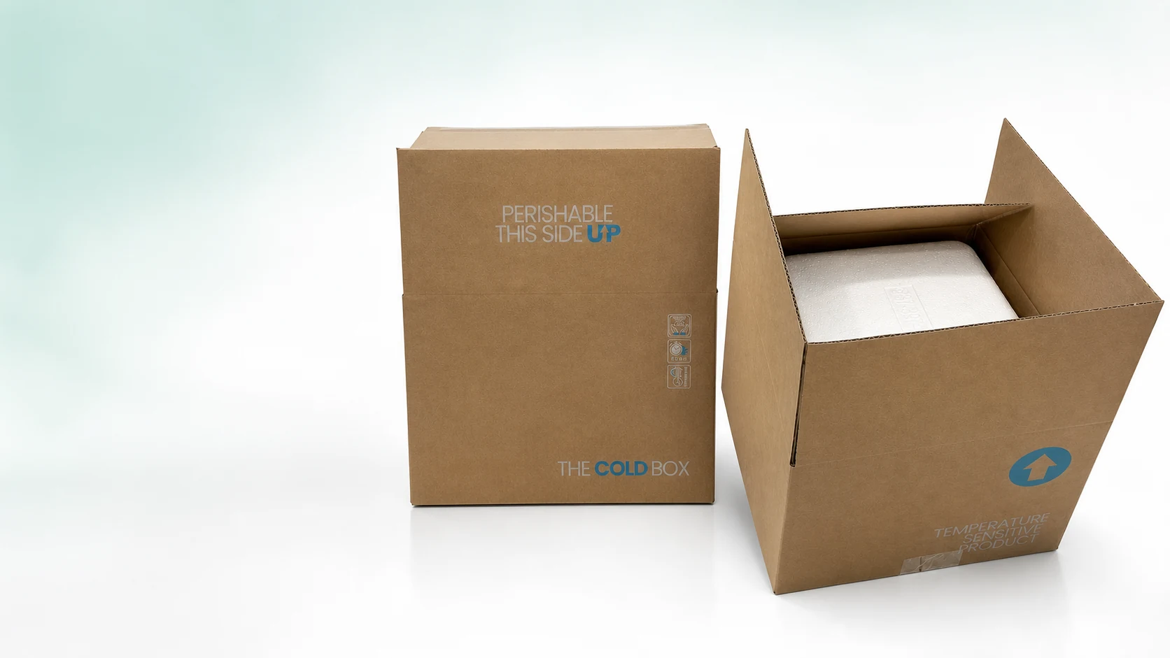 SB EX insulated pharmaceutical cold boxes shown closed and open with a fitted foam container